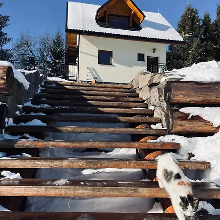 Basikowe Wzgorze Villa Korbielow Exterior photo